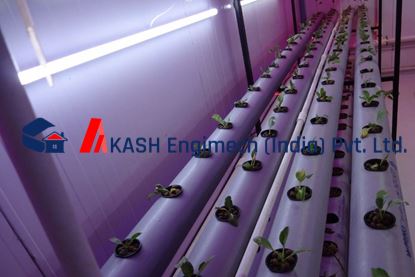 Picture of Hydroponics