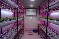 Picture of Hydroponics