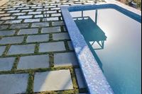 Picture of Swimming Pool